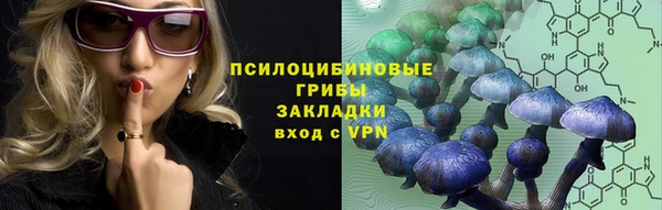 прущая мука Алзамай