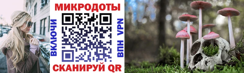 Псилоцибиновые грибы Psilocybine cubensis  хочу   ссылка на мегу рабочий сайт  Дюртюли 