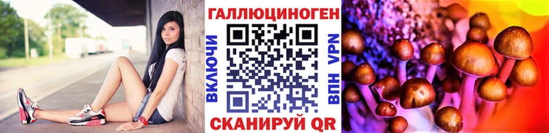 Псилоцибиновые грибы ЛСД Дюртюли