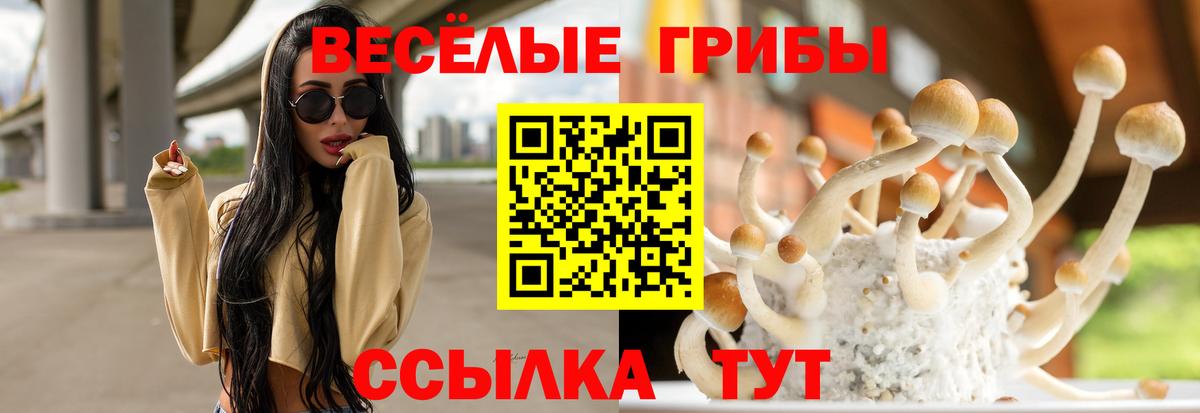 Галлюциногенные грибы прущие грибы  Вход с VPN  Дюртюли 